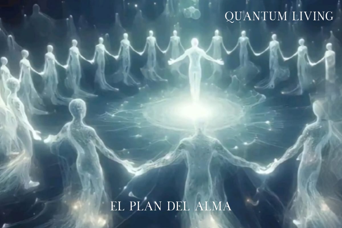 el plan del alma.blog.web