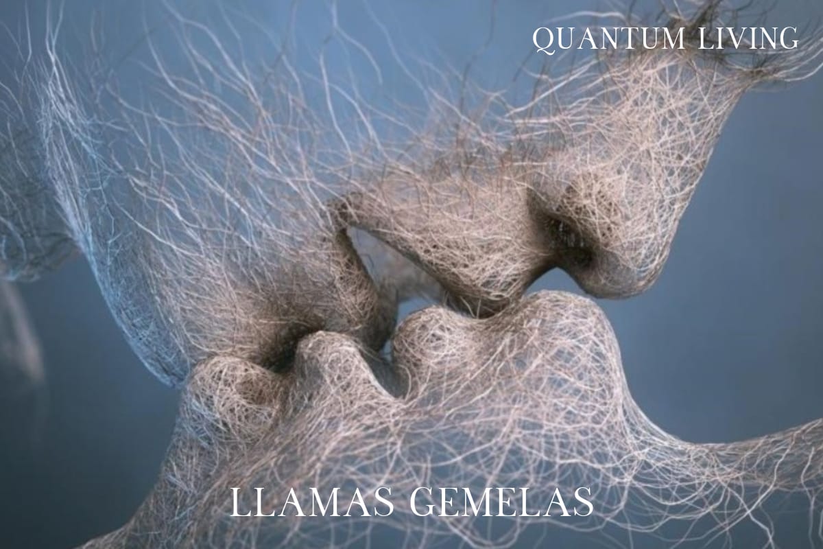 llamas gemelas.blog.web